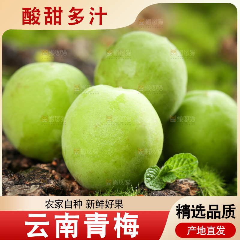 木底上放着云南大理青梅
