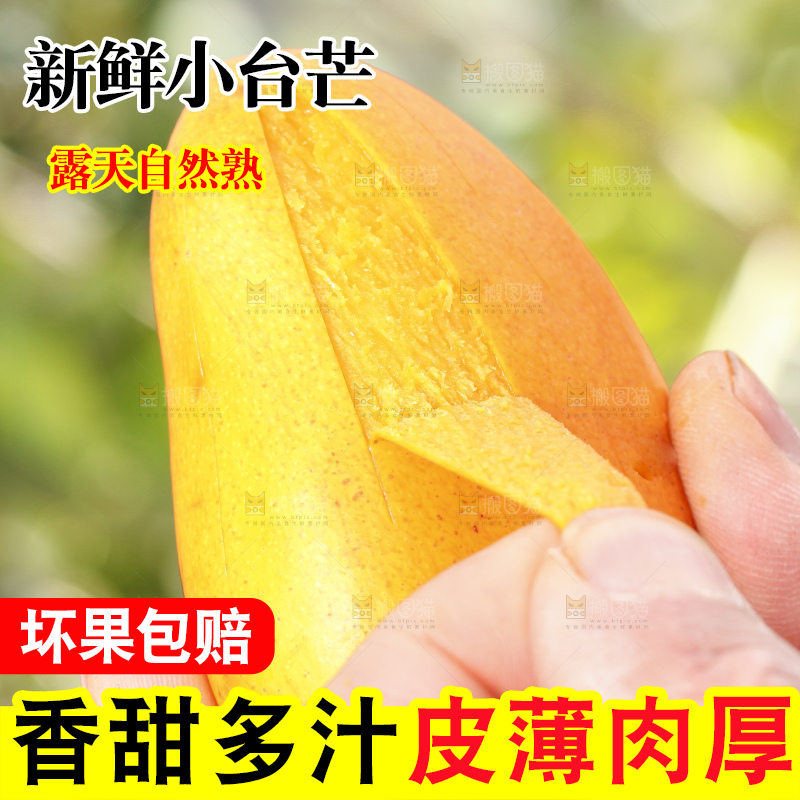 手拿剥皮的海南小台农芒果