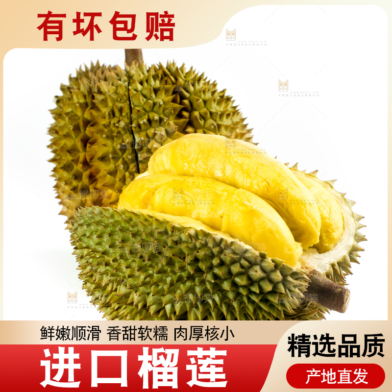 白底上摆放着甲仑榴莲