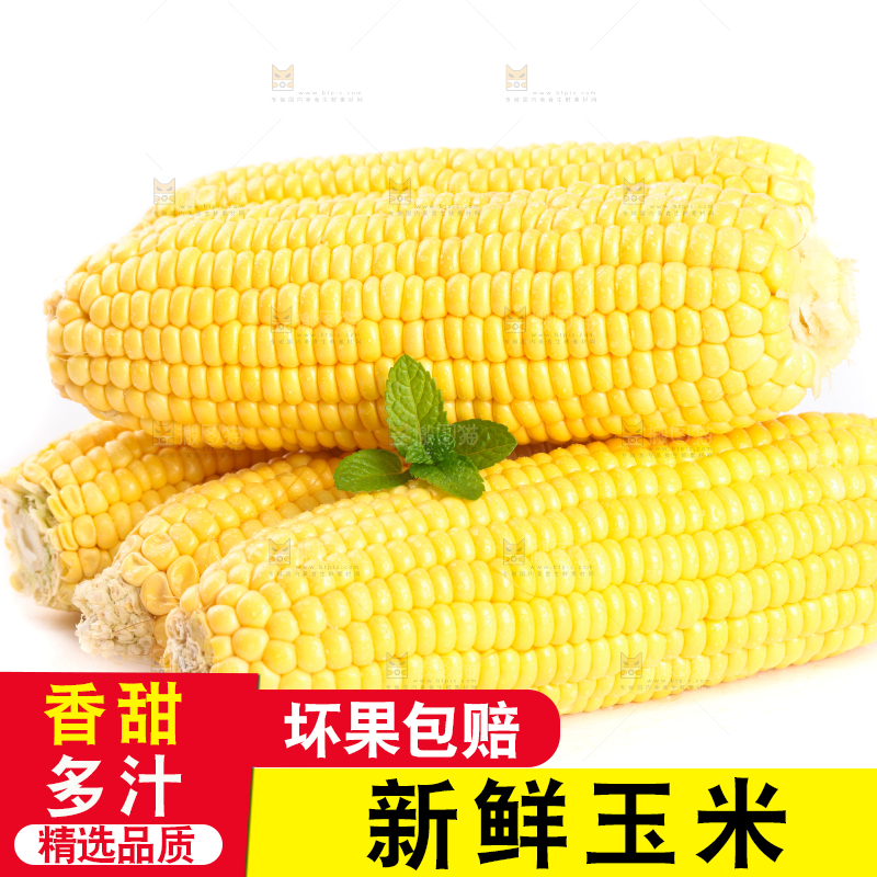 白底上放着黄玉米
