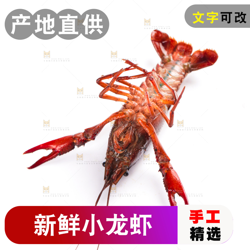 白底上放着潜江小龙虾