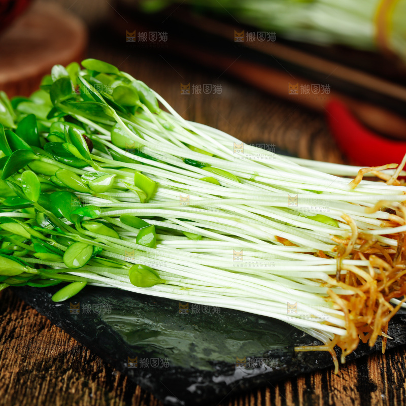 黑石板上的香椿苗