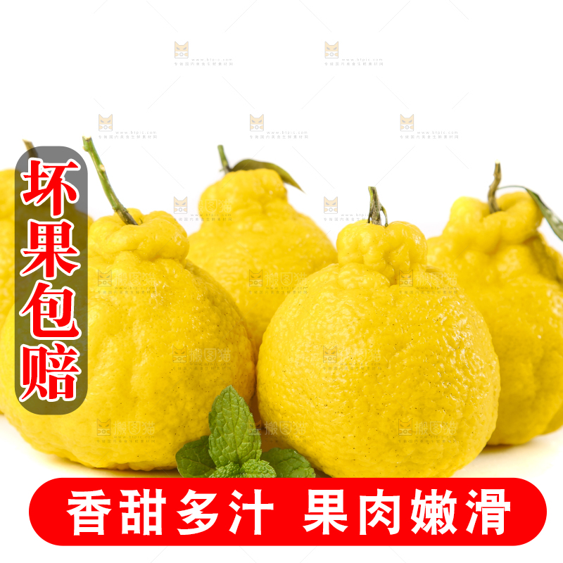 白底上放着四川柠檬不知火