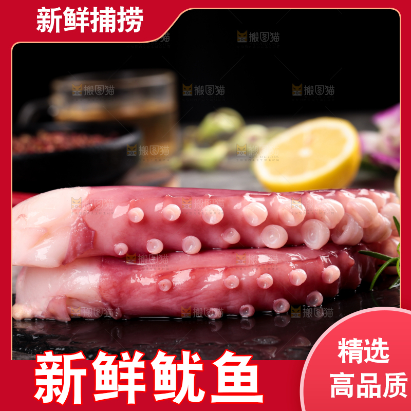 黑石板上的大鱿鱼