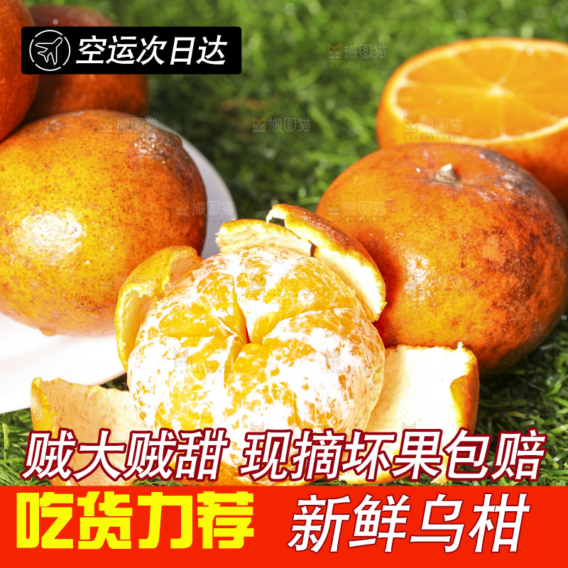 草地上放着剥皮的乌柑