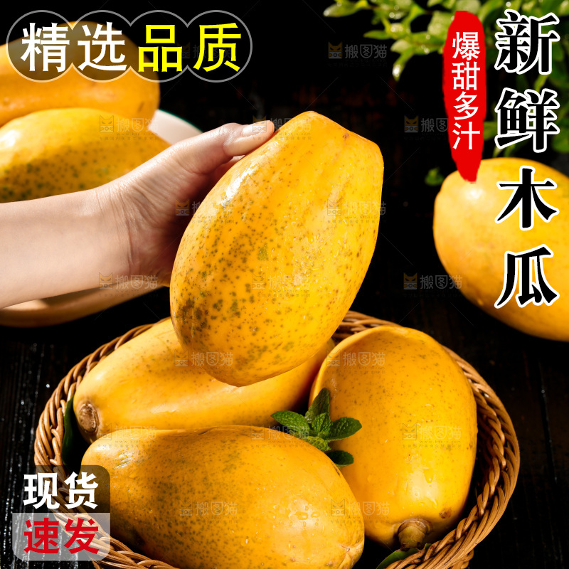 黑底上的广西冰糖心木瓜