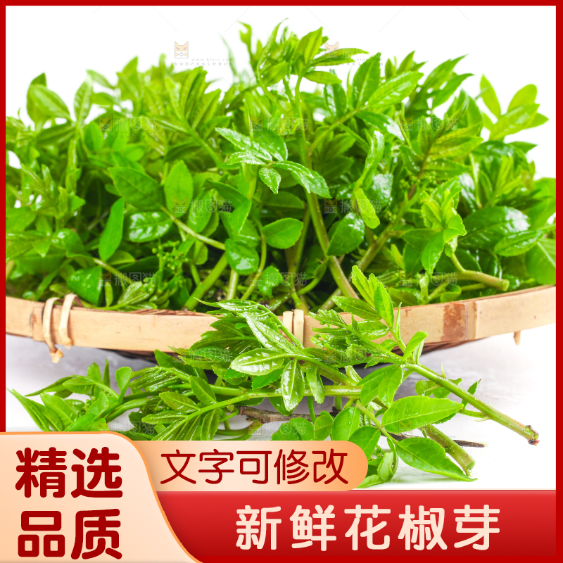 白底上放着一筐野生花椒嫩芽