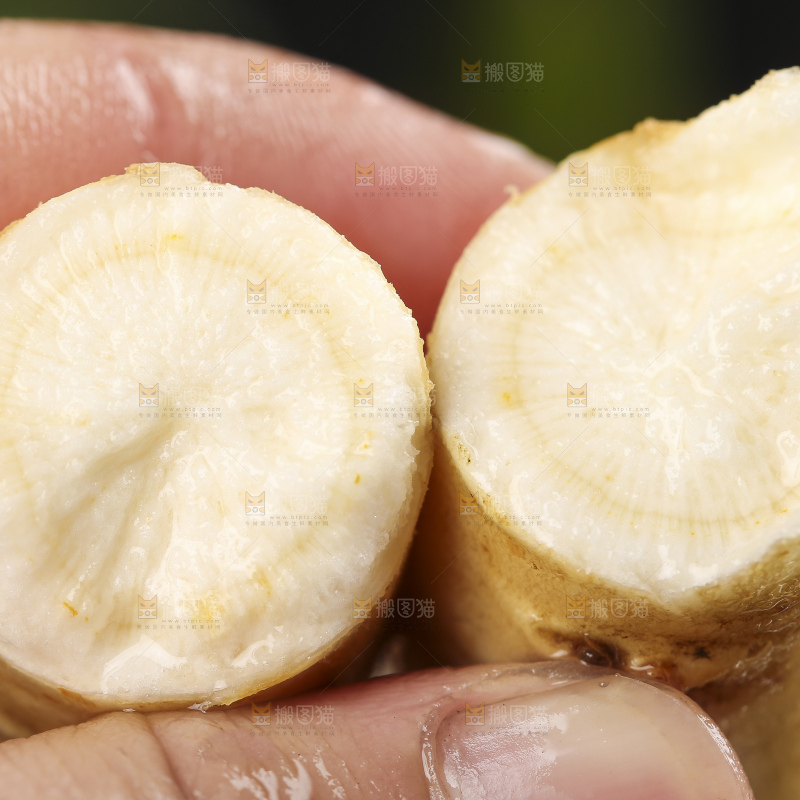 手拿切开的人参