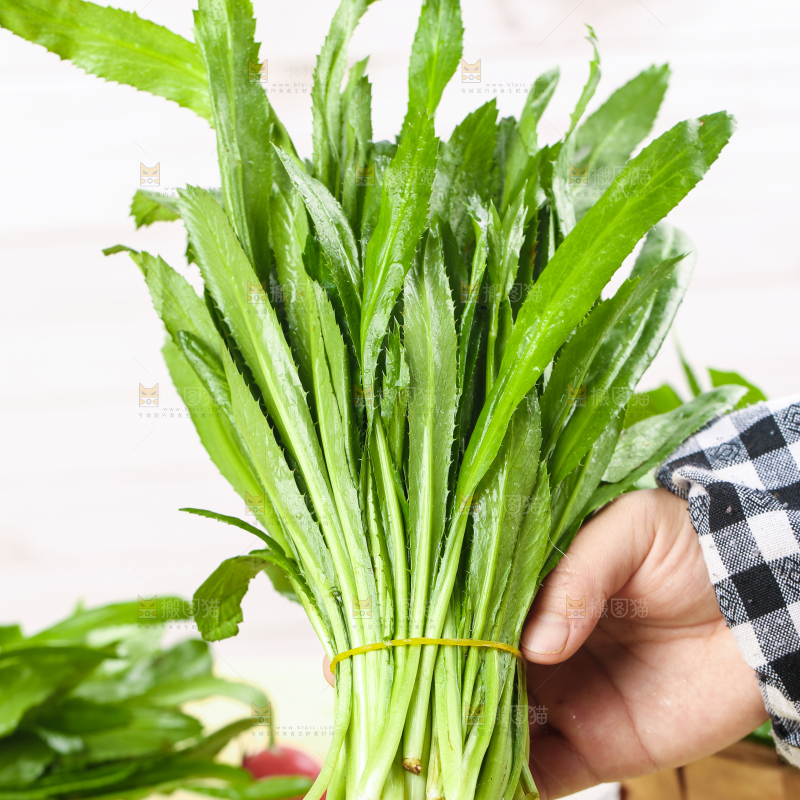 手拿云南大香菜