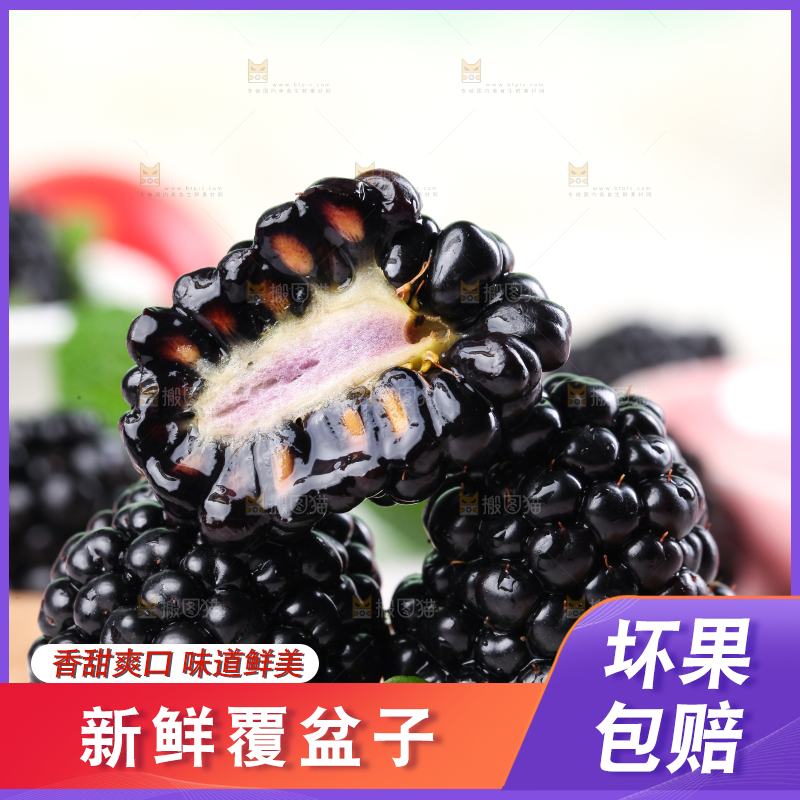 石板上的黑莓鲜果