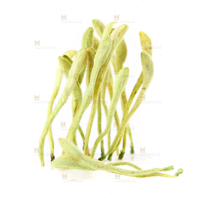 白底上的金银花