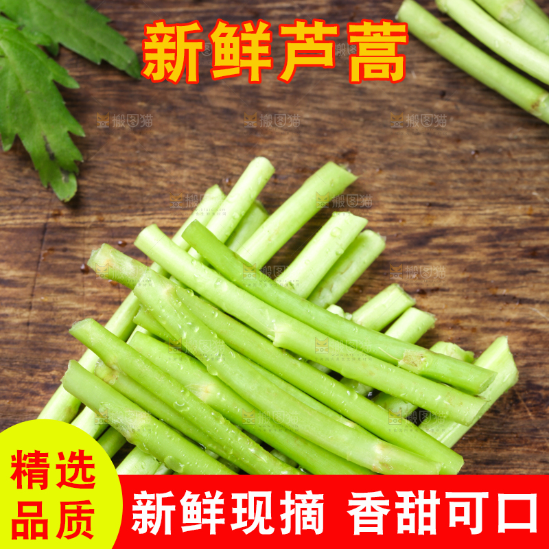 木底上的江西藜蒿