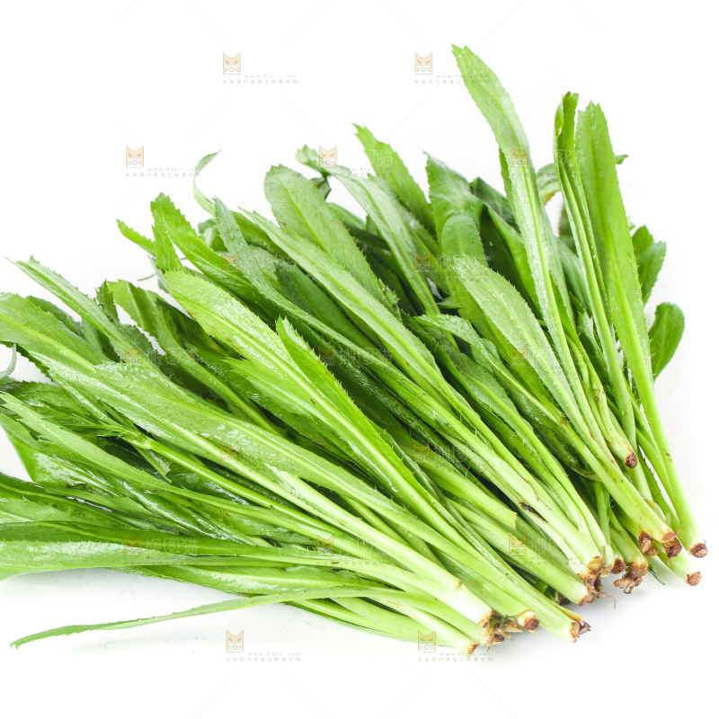白底上的大香菜
