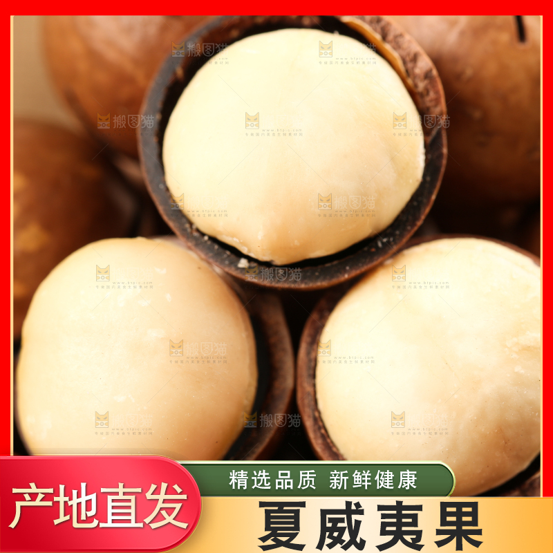 浅底上的夏威夷果