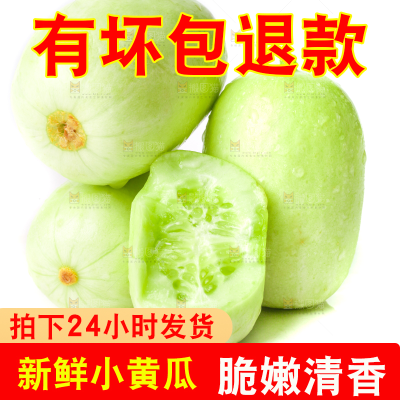 白底上放着切开的玉女黄瓜