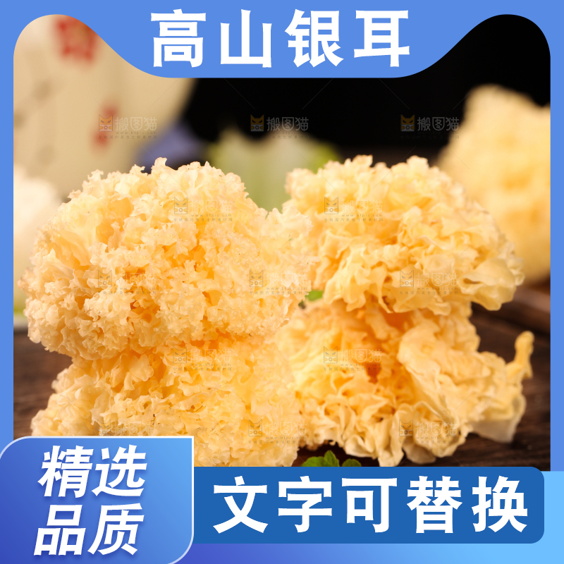 木底上放着雪银耳