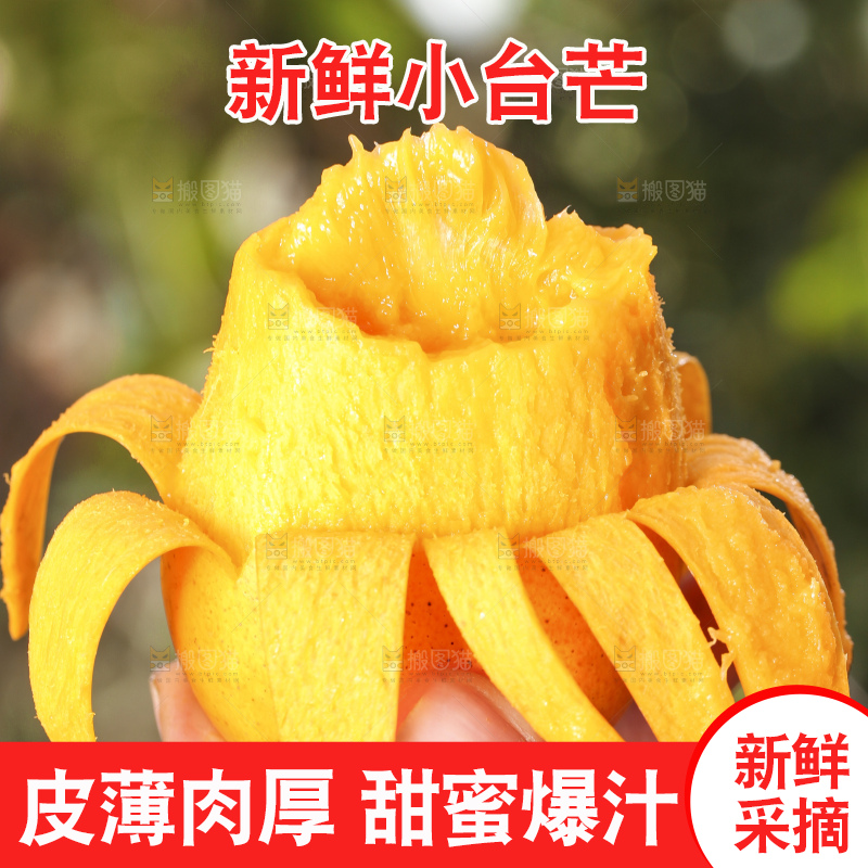 手拿剥皮的海南小台农芒果