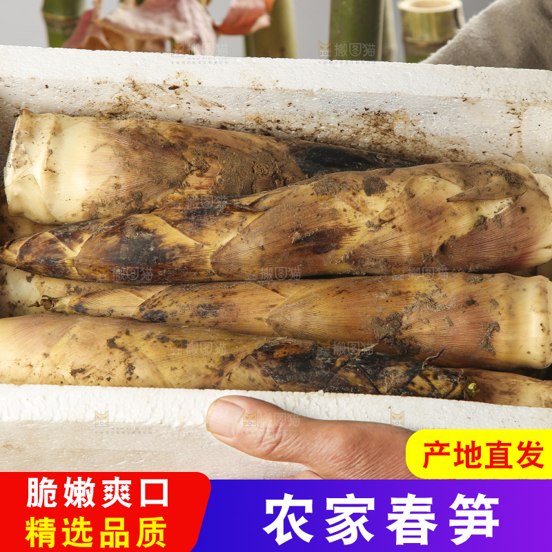 手拿一盒春笋