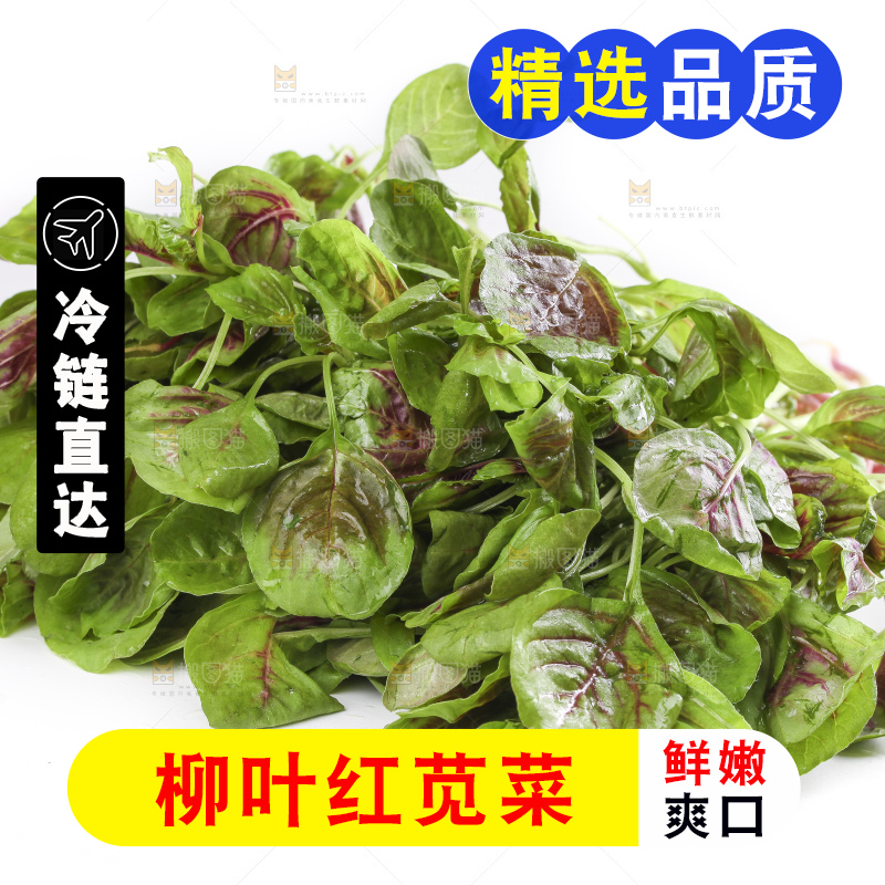 白底上的红苋菜