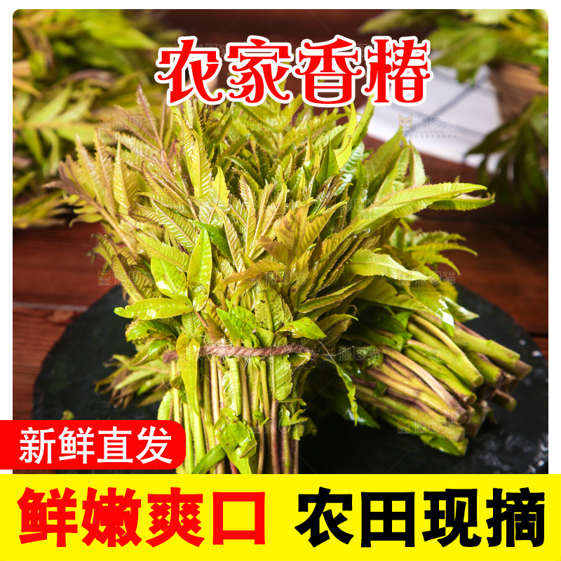 黑石板放着新鲜红香椿
