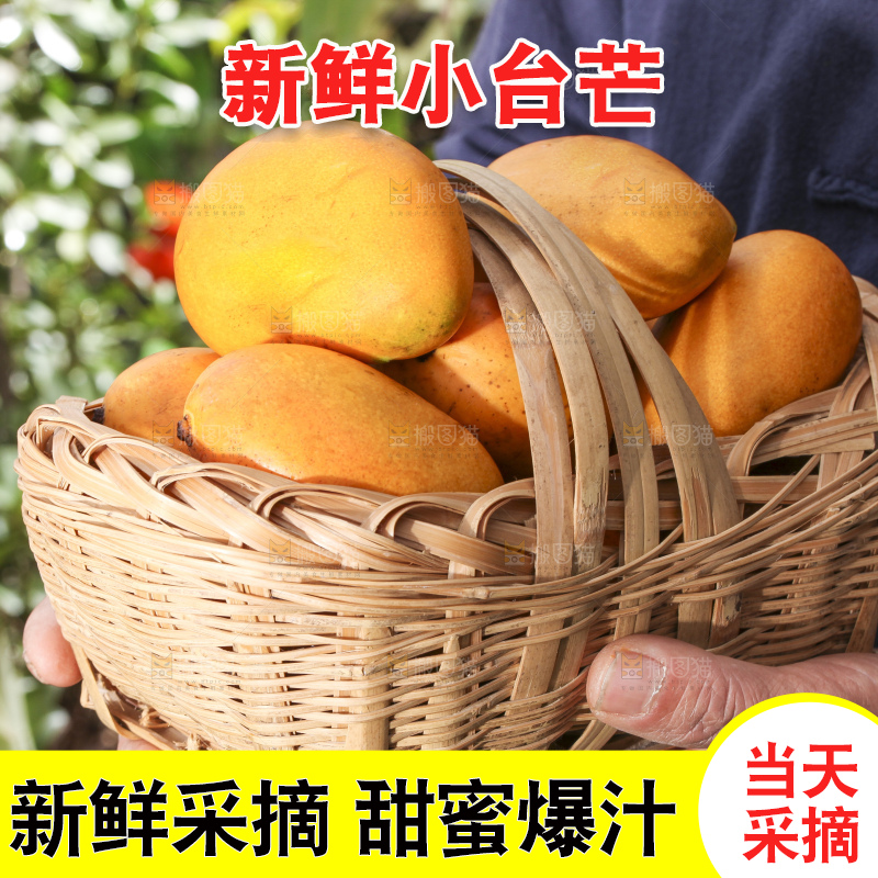 手拿一篮小台芒