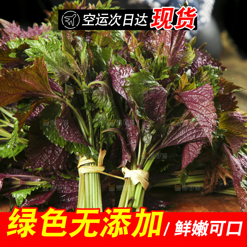 木底上的紫苏叶