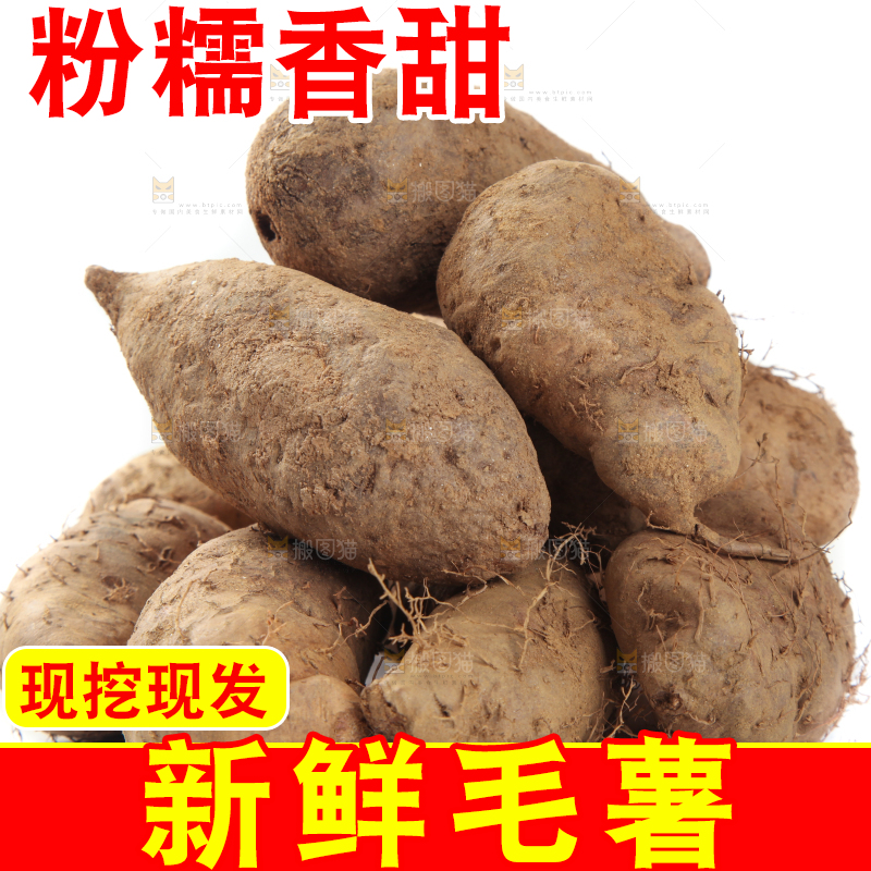 白底上堆着一堆高州毛薯