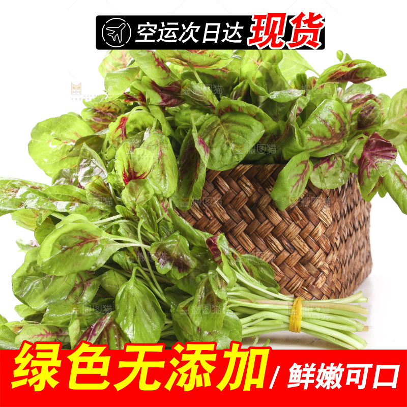 一筐红苋菜放在白底上