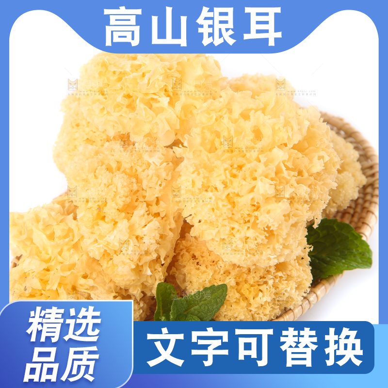 白底上的雪银耳