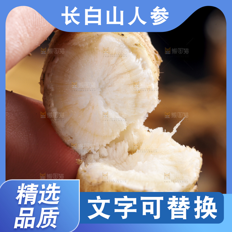 手拿掰开的人参