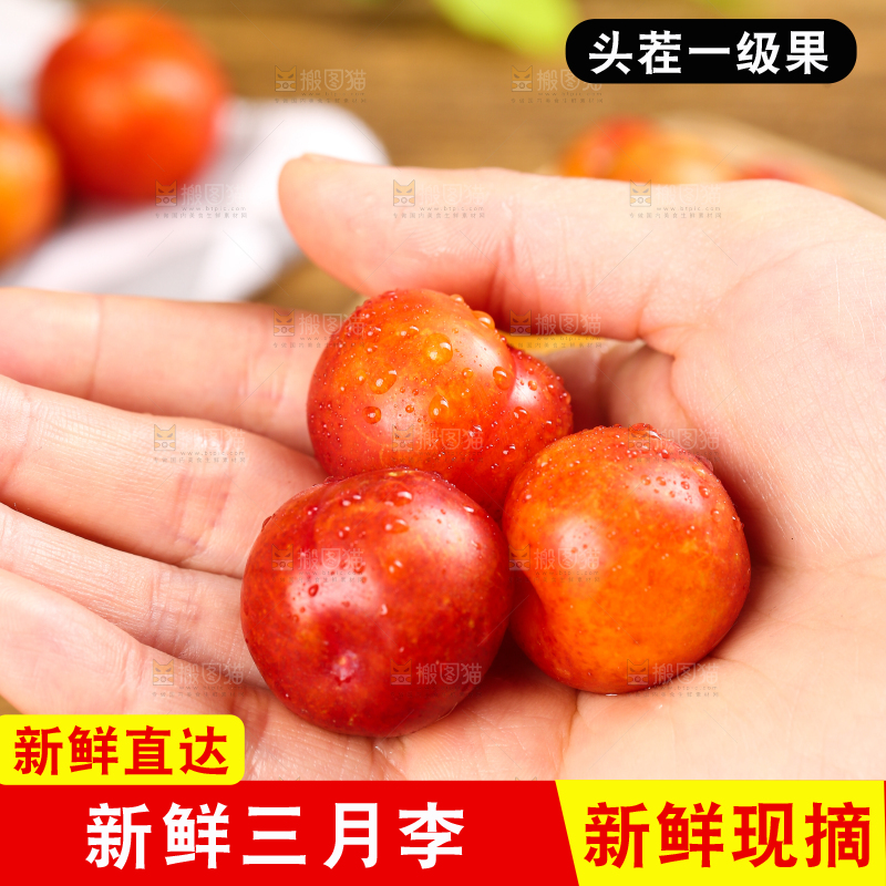 手里拿着新鲜李子