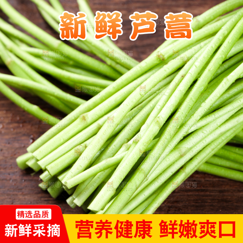 木底上的江西藜蒿