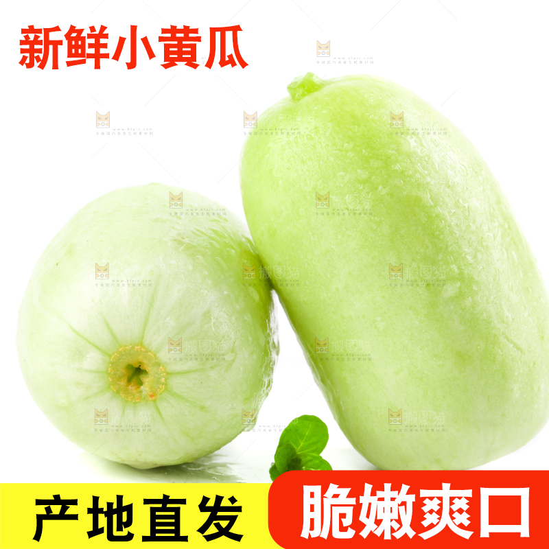 白底上的拇指小黄瓜