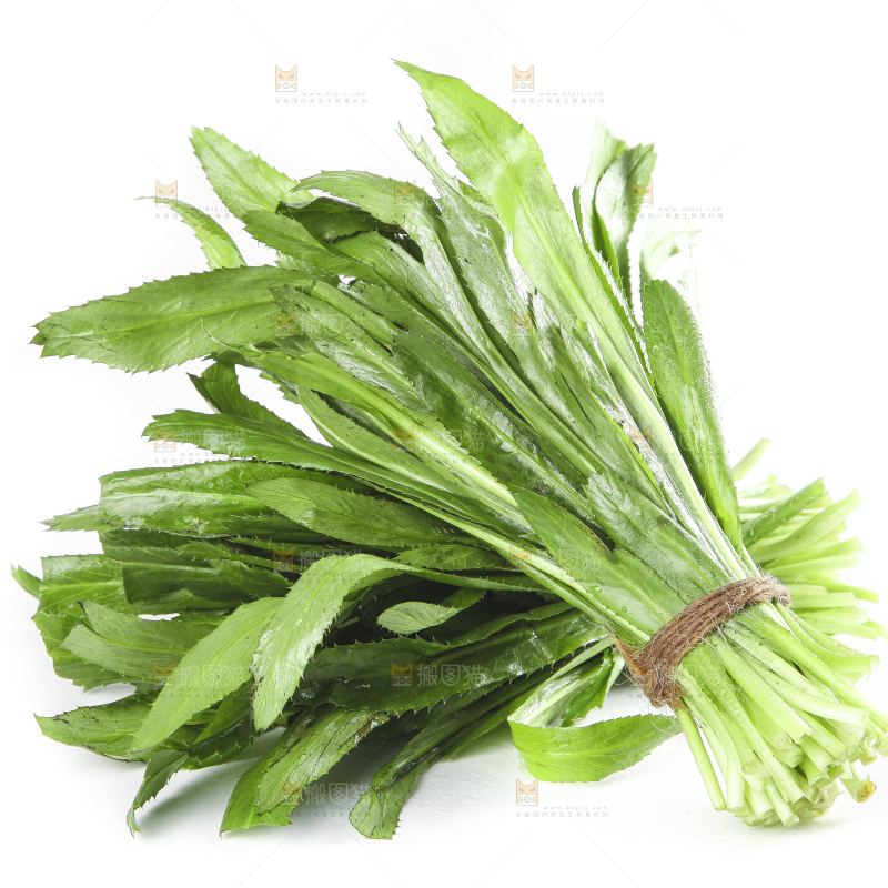 白底上的云南新鲜大香菜