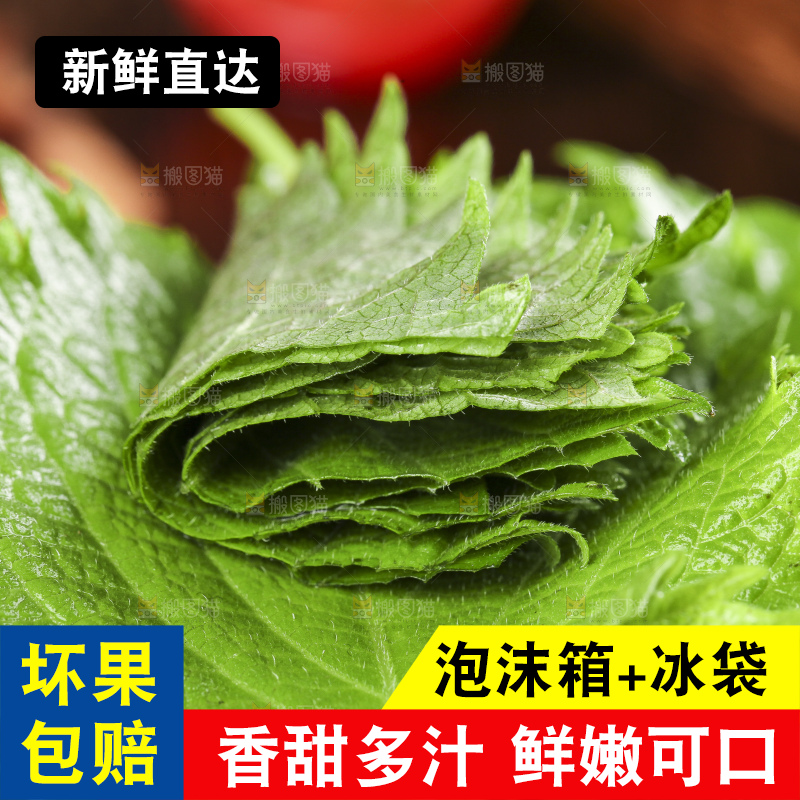 木底上的新鲜紫苏叶