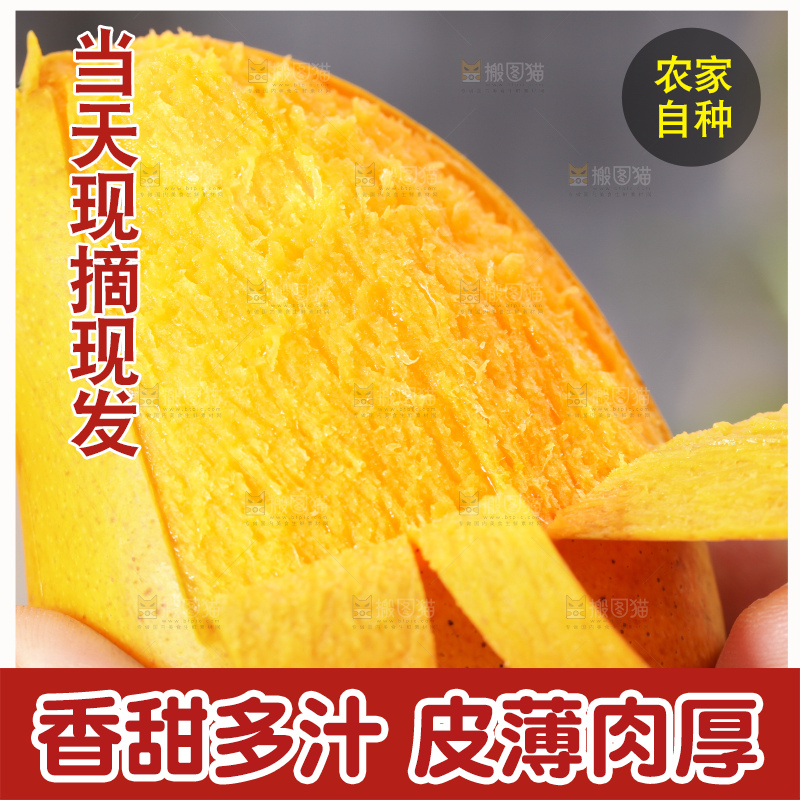 手拿剥皮的海南小台农芒果