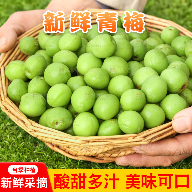 手拿一筐青梅