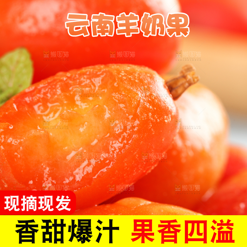 浅底上的野生羊奶果