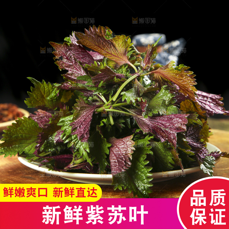 木底上放着一盘紫苏叶