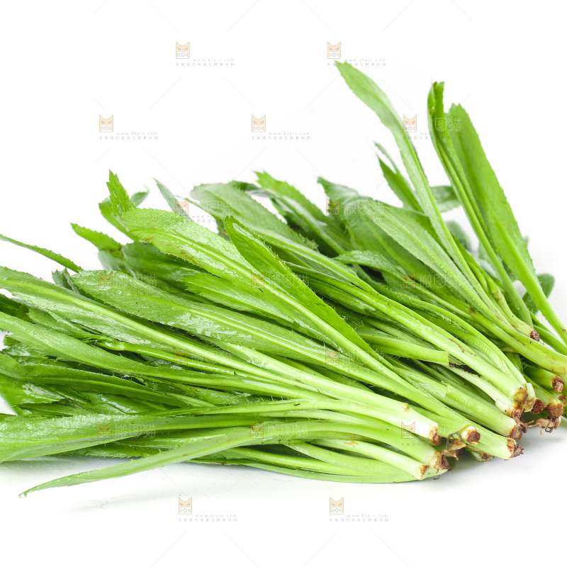 白底上的大香菜