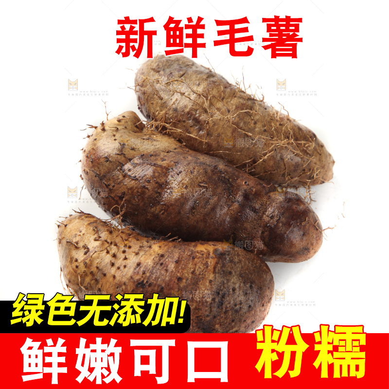 白底上的毛薯