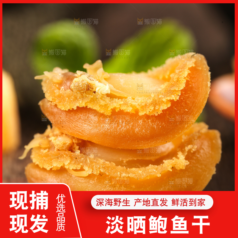 木底上的干鲍鱼