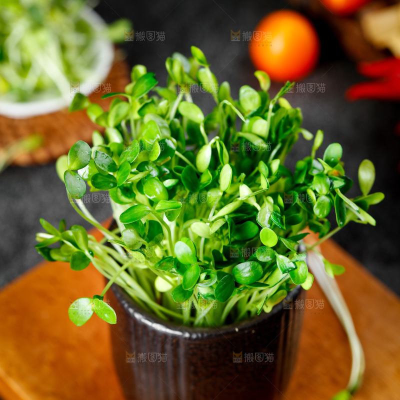 深底上放着一杯香椿芽
