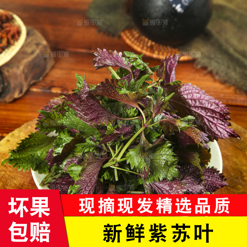 木底上放着一盘紫苏叶