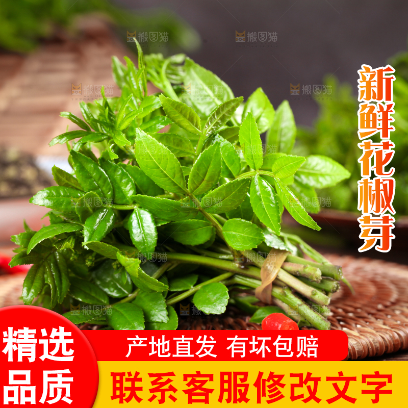 木底上的麻香花椒芽
