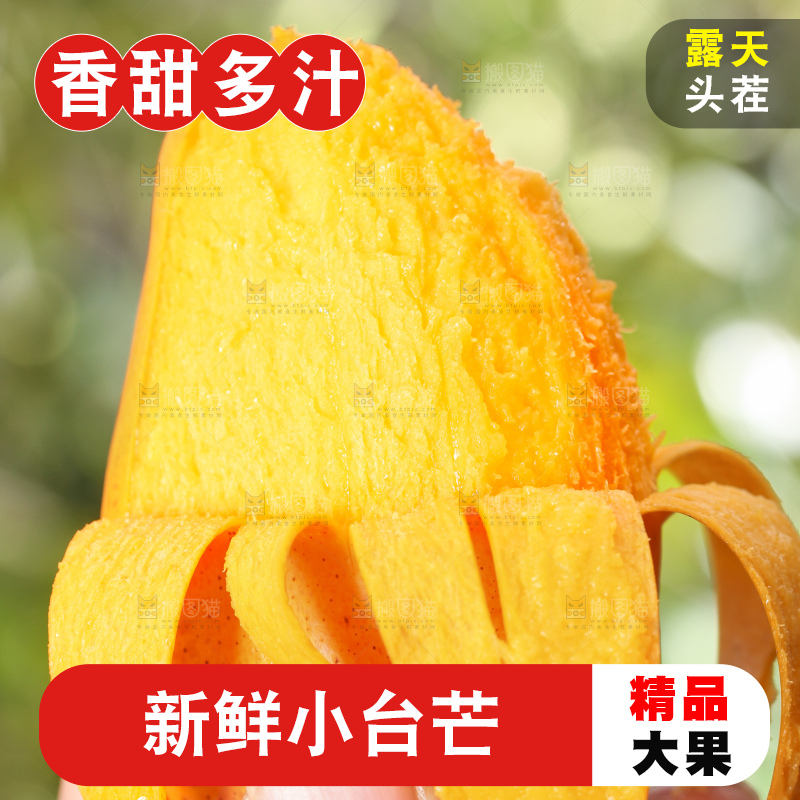 手拿剥皮的海南小台农芒果