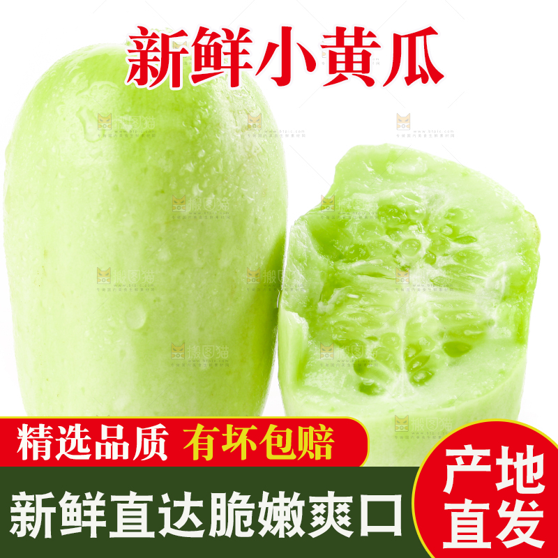 白底上的拇指小黄瓜