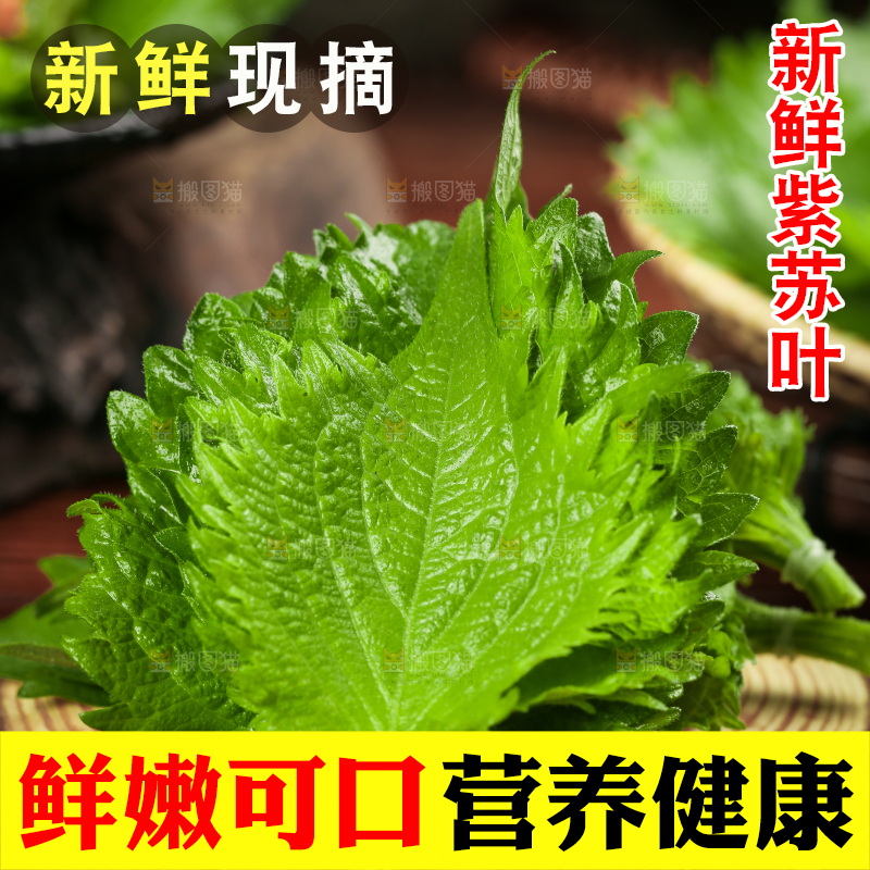 木板上的青紫苏叶