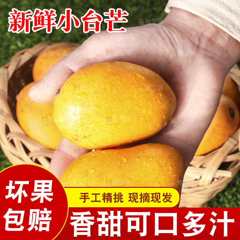手拿新鲜的小台芒