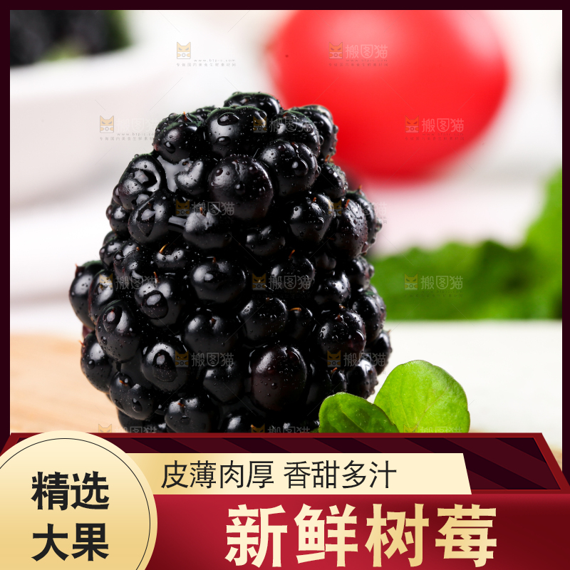 石板上的黑莓鲜果